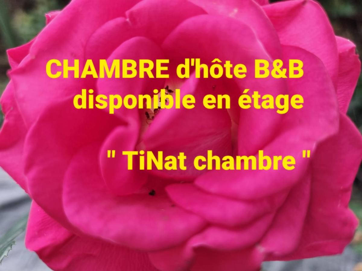 Tinat Studio Douarnenez Buitenkant foto